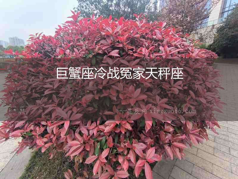 巨蟹座冷戰冤家天秤座
