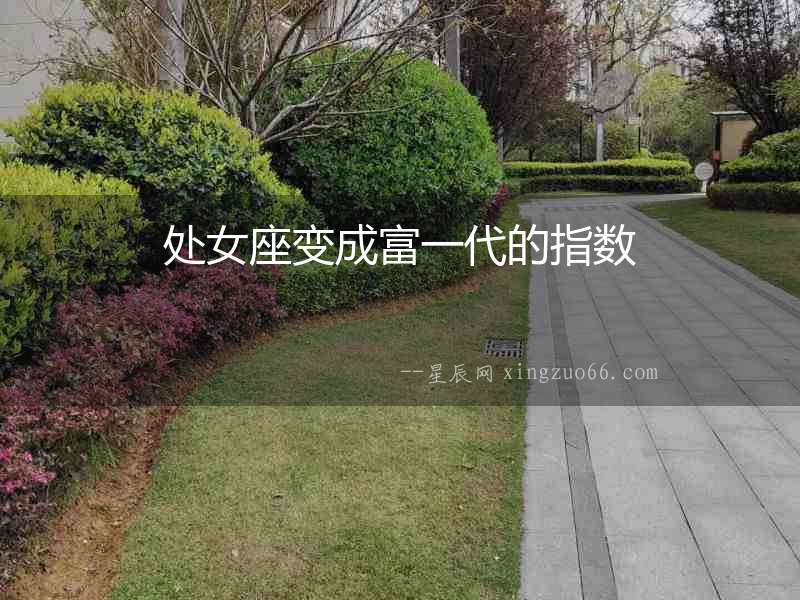 處女座變成富一代的指數