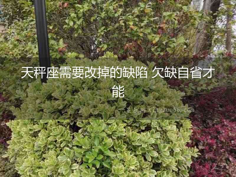 天秤座需要改掉的缺陷 欠缺自省才能