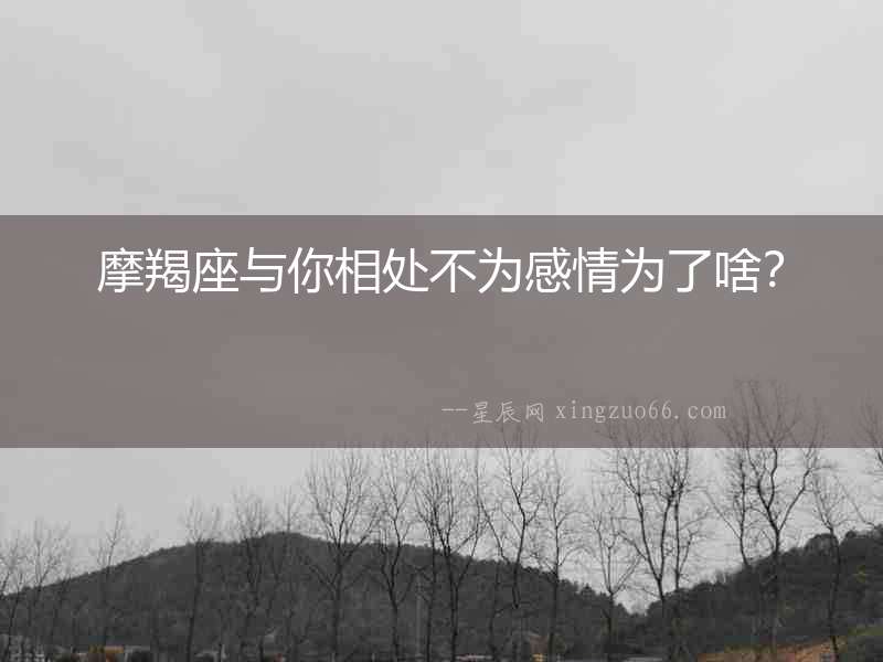 摩羯座與你相處不為感情為了啥？