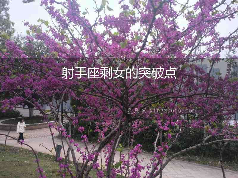 射手座剩女的突破點