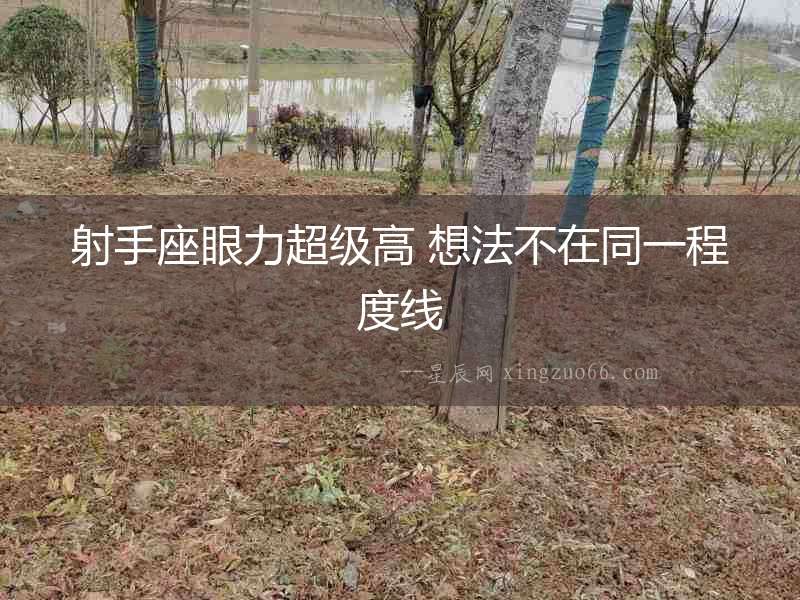 射手座眼力超級高 想法不在同一程度線