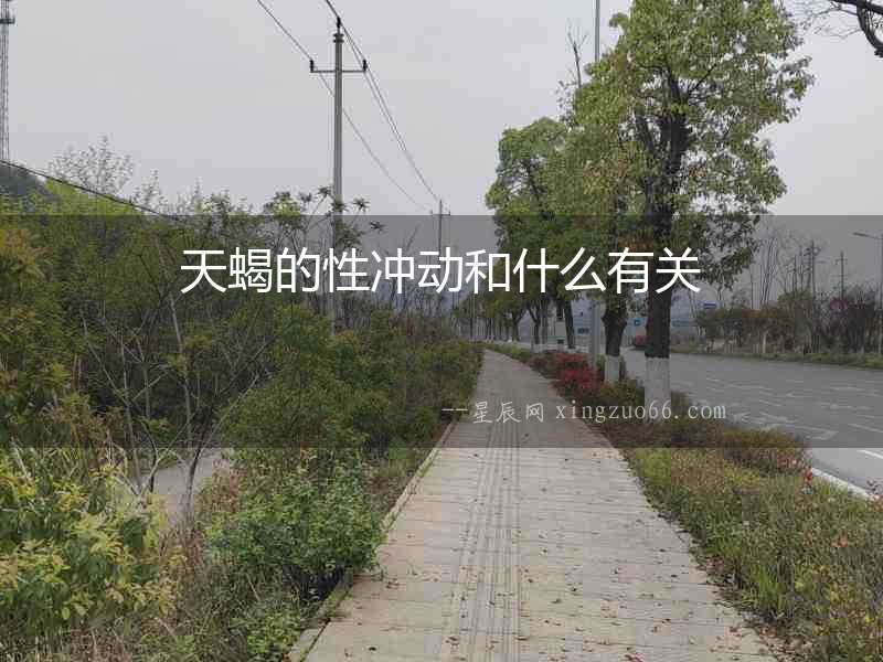 天蝎的性沖動和什么有關