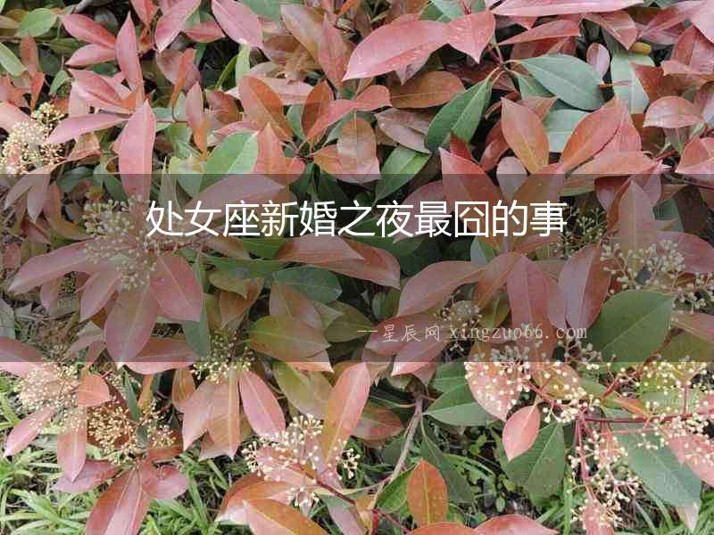 處女座新婚之夜最囧的事
