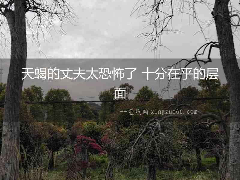 天蝎的丈夫太恐怖了 十分在乎的層面