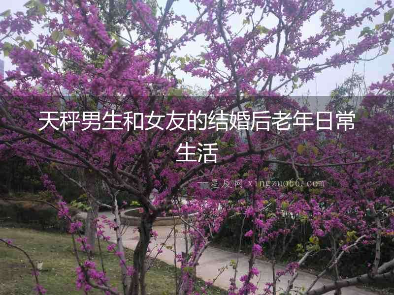 天秤男生和女友的結(jié)婚后老年日常生活