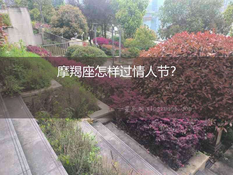 摩羯座怎樣過情人節(jié)？