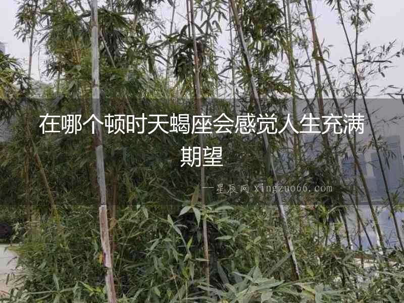 在哪個頓時天蝎座會感覺人生充滿期望