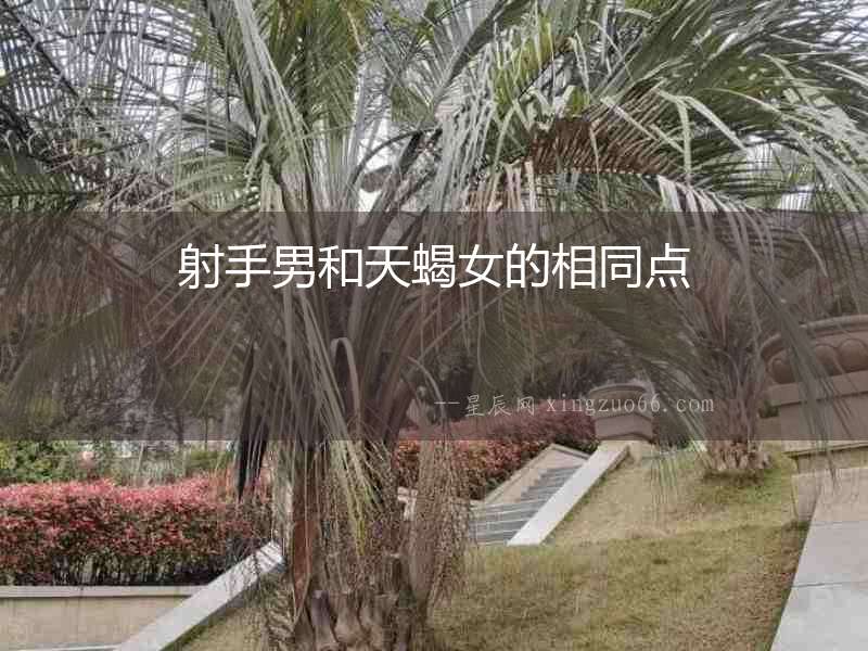 射手男和天蝎女的相同點