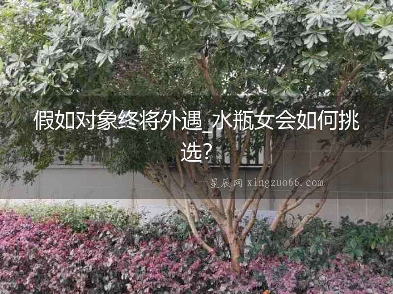 假如對象終將外遇_水瓶女會如何挑選？