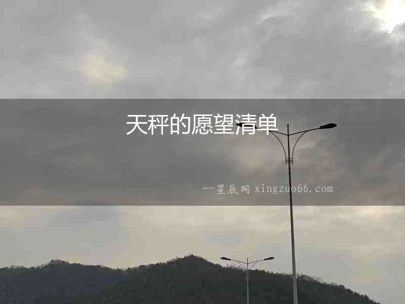天秤的愿望清單