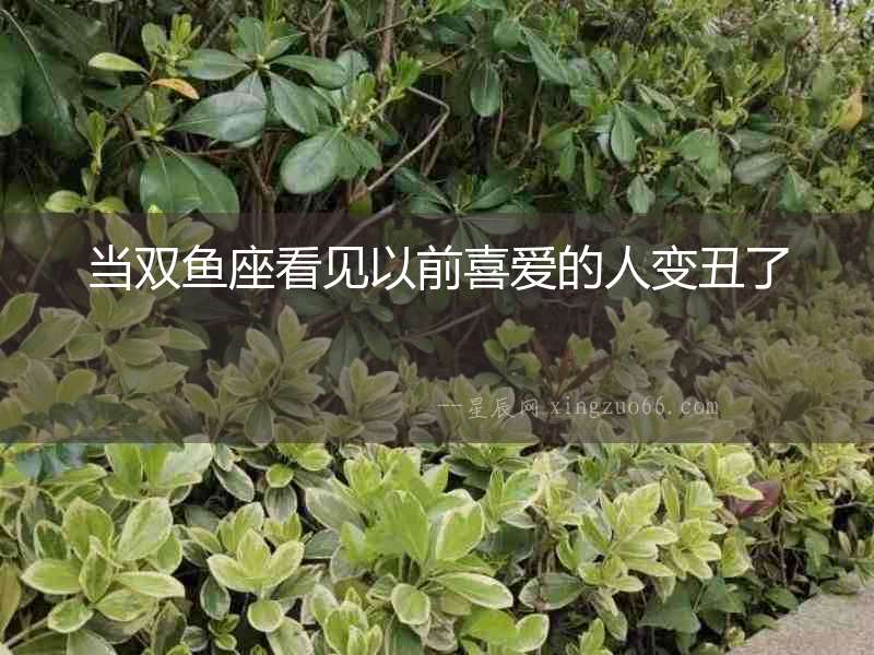 當雙魚座看見以前喜愛的人變丑了