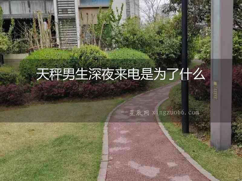 天秤男生深夜來電是為了什么