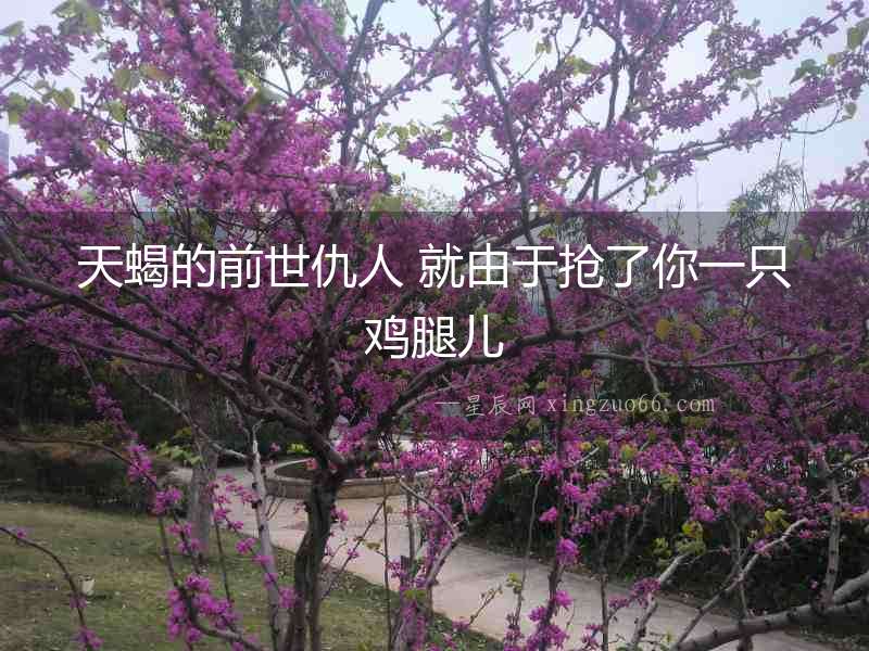 天蝎的前世仇人 就由于搶了你一只雞腿兒
