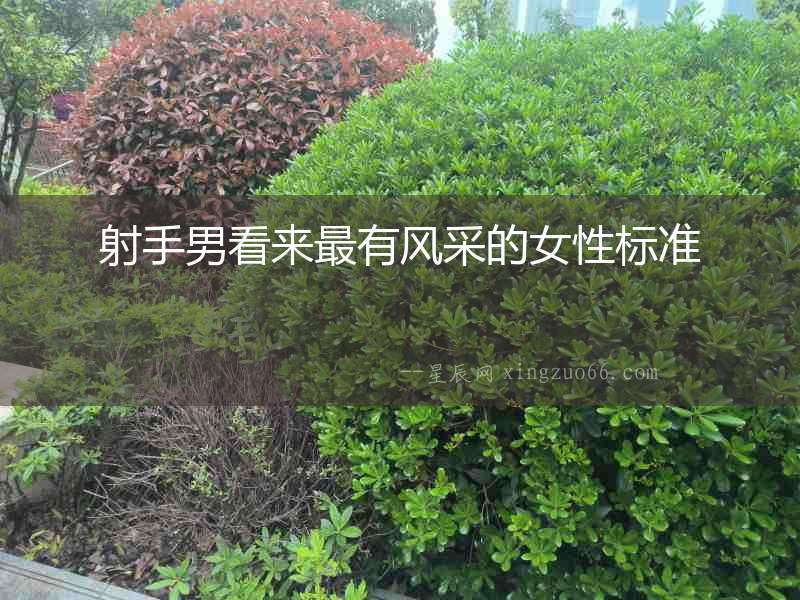 射手男看來最有風(fēng)采的女性標(biāo)準(zhǔn)