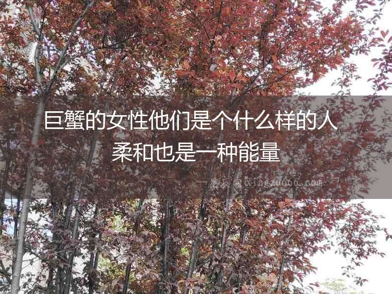巨蟹的女性他們是個什么樣的人  柔和也是一種能量