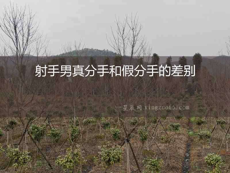 射手男真分手和假分手的差別