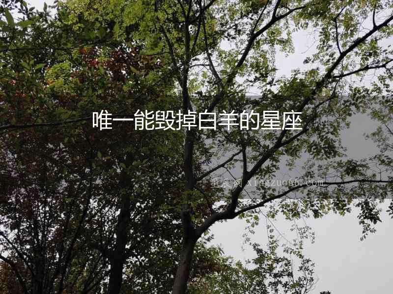 唯一能毀掉白羊的星座