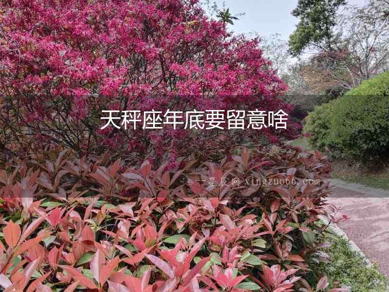 天秤座年底要留意啥