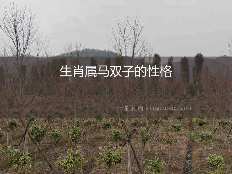 生肖屬馬雙子的性格