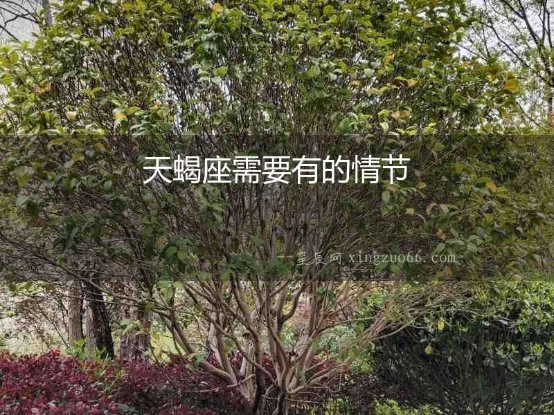 天蝎座需要有的情節(jié)