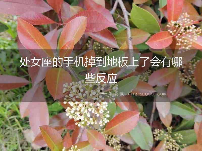 處女座的手機掉到地板上了會有哪些反應(yīng)