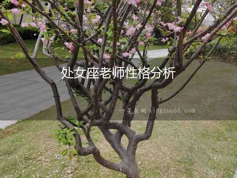 處女座老師性格分析