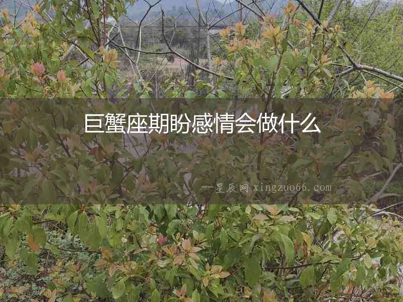 巨蟹座期盼感情會做什么