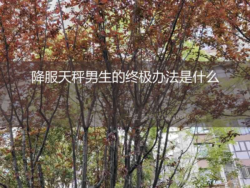 降服天秤男生的終極辦法是什么