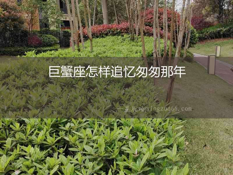 巨蟹座怎樣追憶匆匆那年