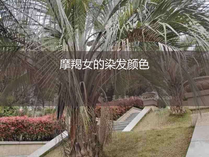 摩羯女的染發(fā)顏色