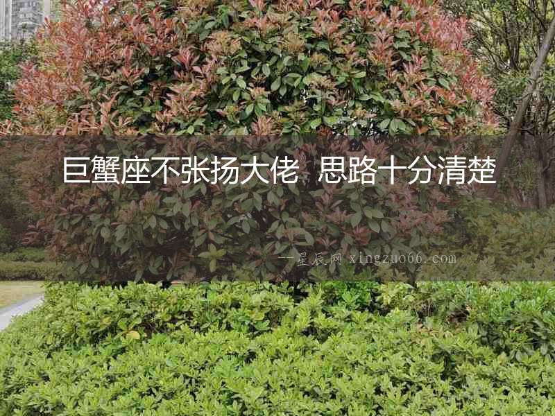 巨蟹座不張揚大佬  思路十分清楚