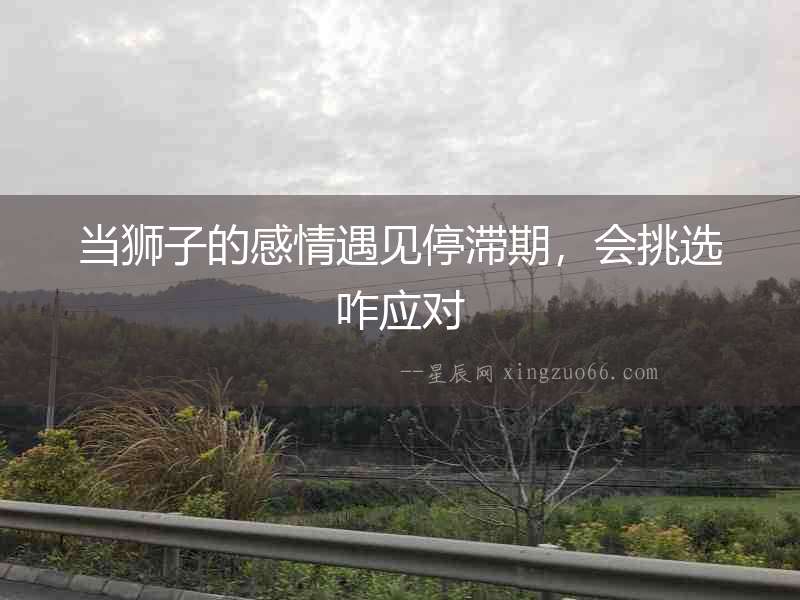 當(dāng)獅子的感情遇見(jiàn)停滯期，會(huì)挑選咋應(yīng)對(duì)