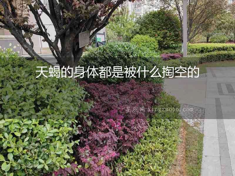 天蝎的身體都是被什么掏空的