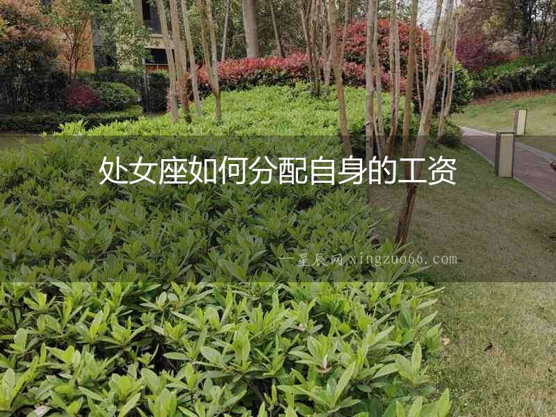 處女座如何分配自身的工資