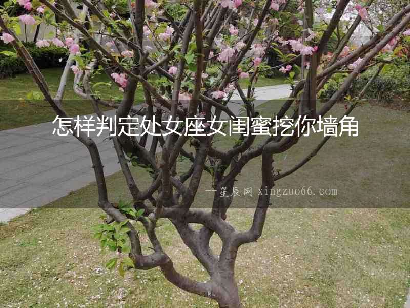 怎樣判定處女座女閨蜜挖你墻角