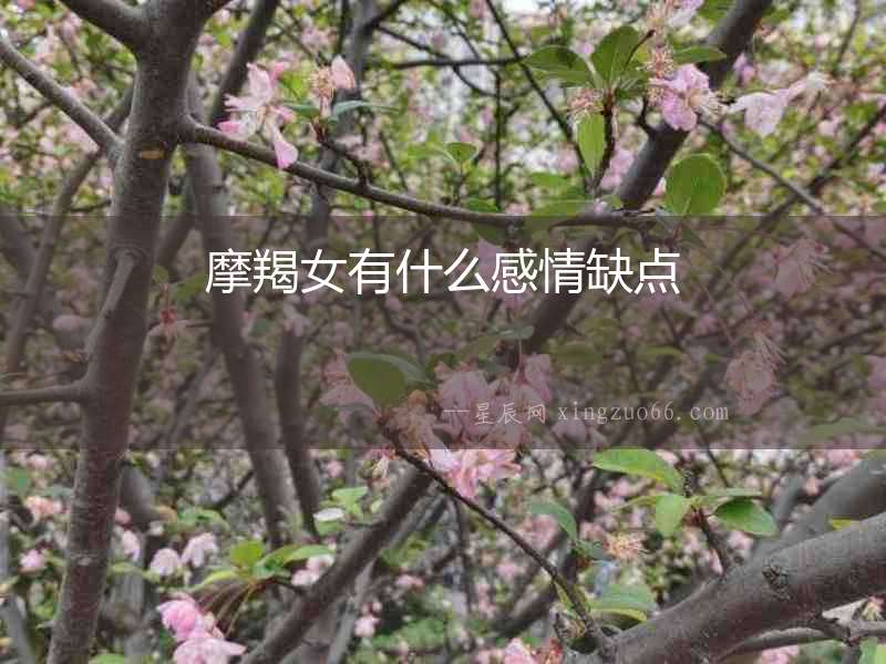 摩羯女有什么感情缺點