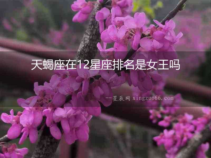 天蝎座在12星座排名是女王嗎