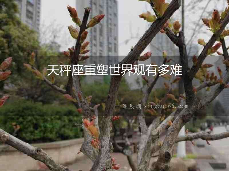 天秤座重塑世界觀有多難