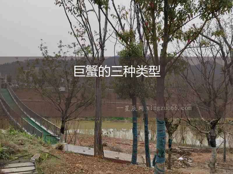 巨蟹的三種類型