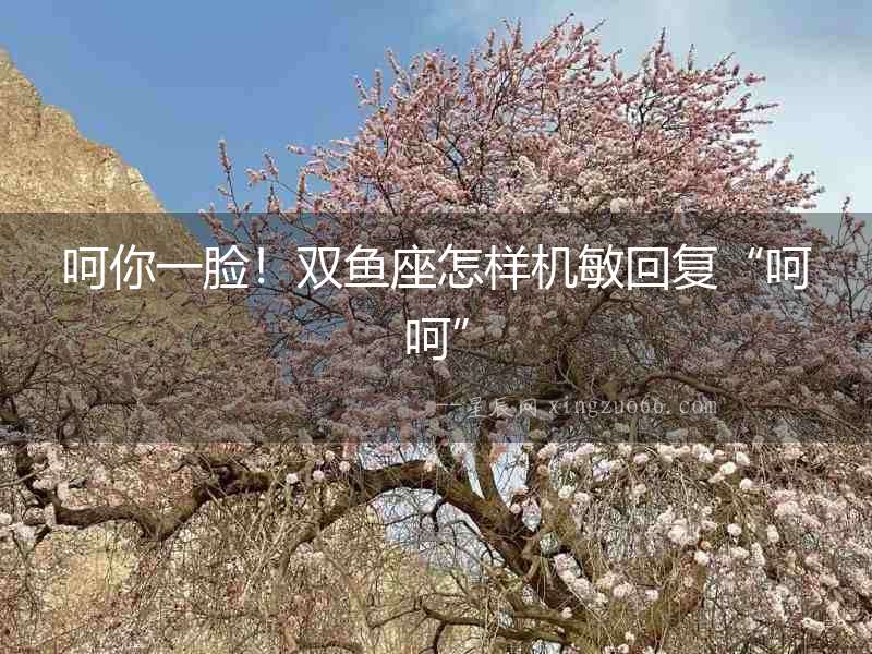 呵你一臉！雙魚(yú)座怎樣機(jī)敏回復(fù)“呵呵”