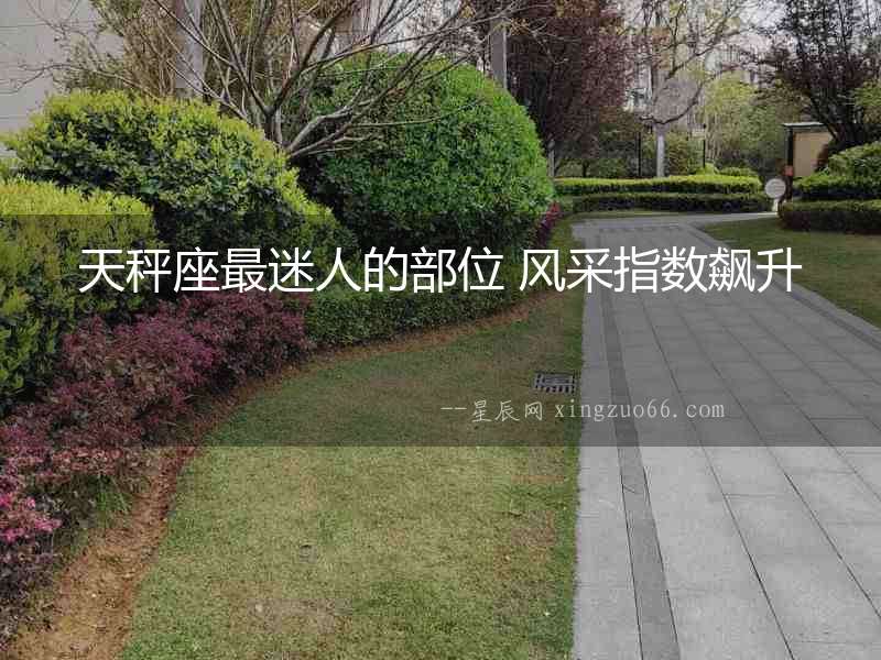 天秤座最迷人的部位 風采指數飆升