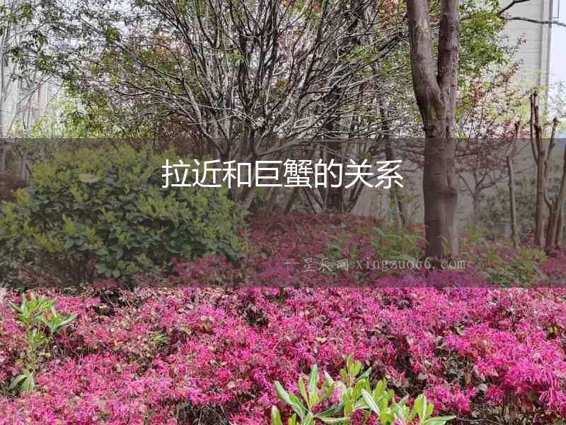 拉近和巨蟹的關系