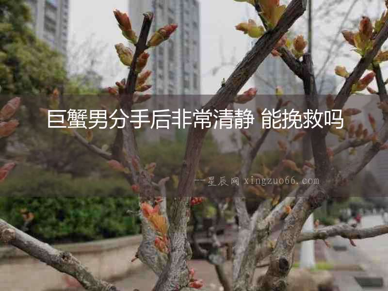 巨蟹男分手后非常清靜 能挽救嗎