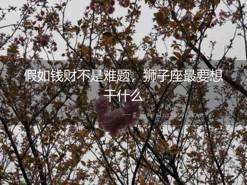 假如錢財不是難題，獅子座最要想干什么