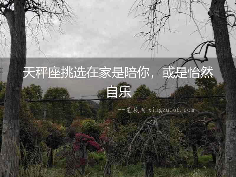 天秤座挑選在家是陪你，或是怡然自樂