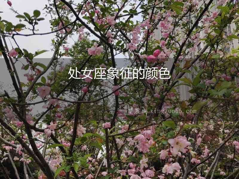 處女座象征的顏色