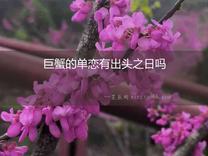 巨蟹的單戀有出頭之日嗎