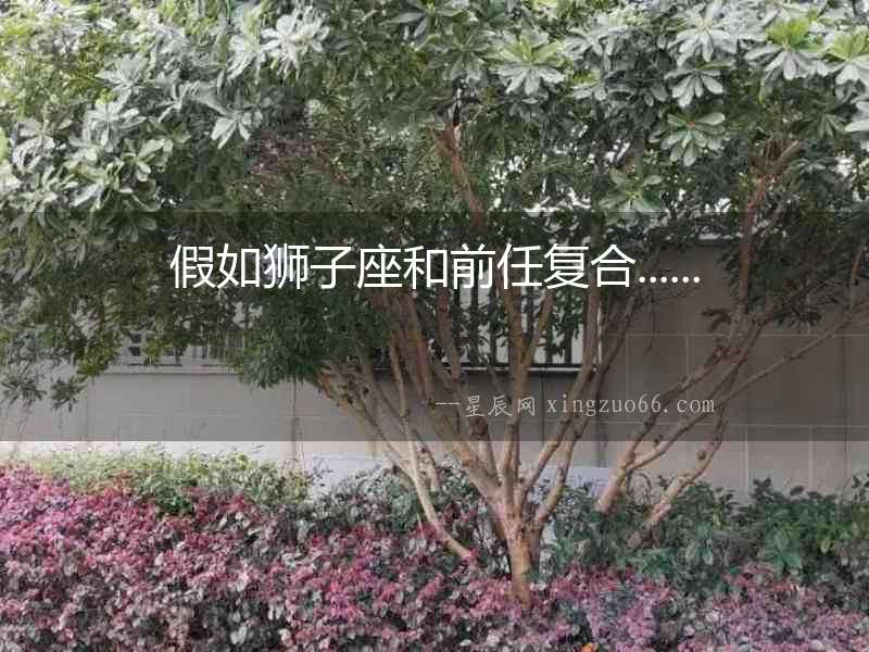 假如獅子座和前任復合......