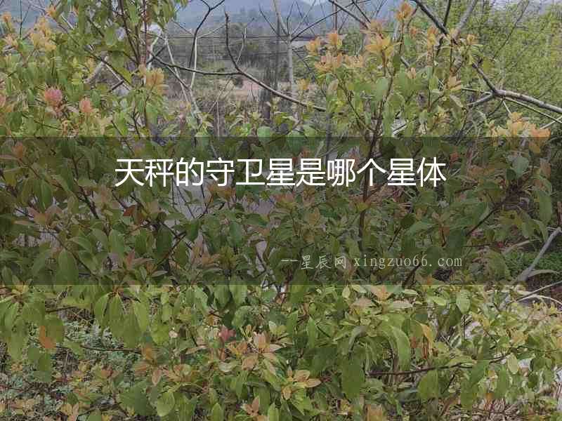 天秤的守衛星是哪個星體